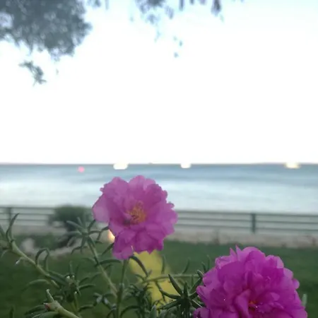 بيت للعطل Stami's Seaside *