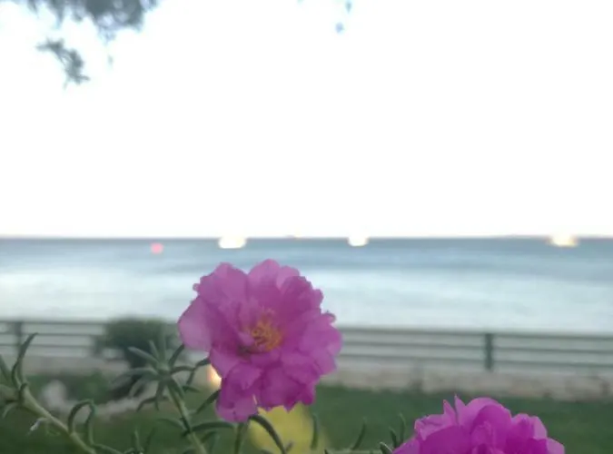 بيت للعطل Stami's Seaside *