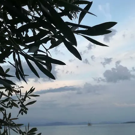 Stami's Seaside